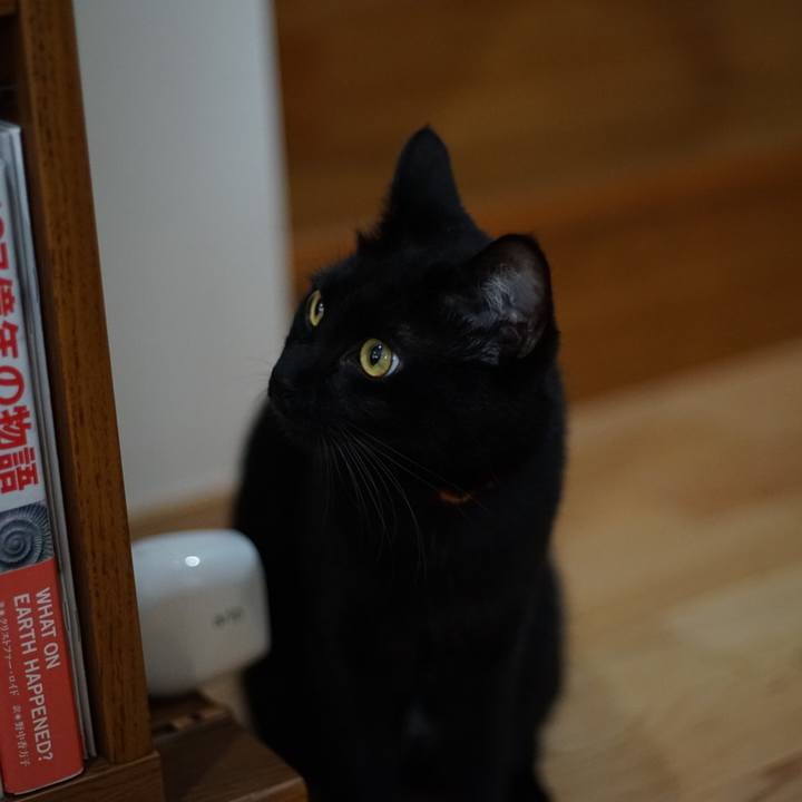 C9cc992c d367 4ecb b7f2 7201f3e84ed7 1524969010394