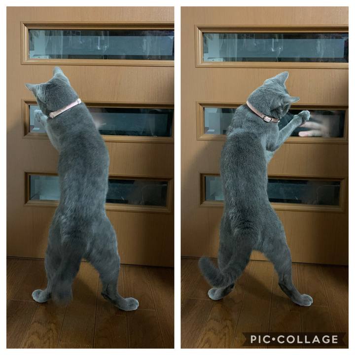 C9ccc3a8 0ae2 463a 888e d30c99355d7c 1584708676309