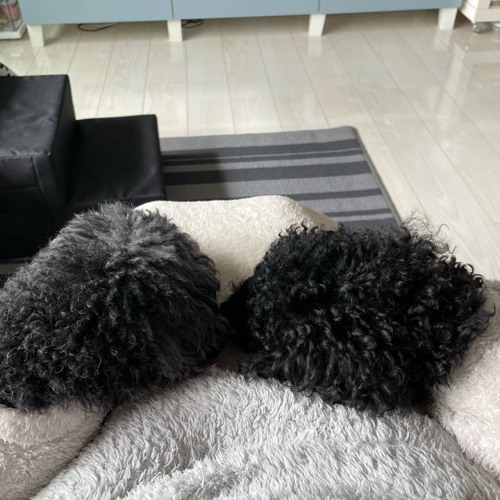 C9ccc527 4292 47a5 b8e8 ef440bc9ccfe 1708219794636