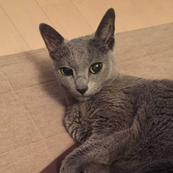 C9cce9cf 03e6 4f6c bf13 8a422674c233 1556147520691