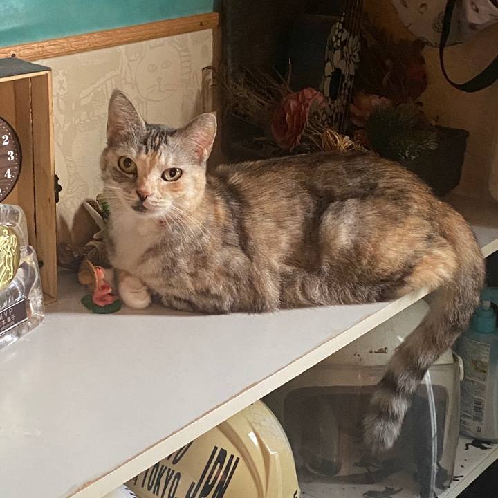 C9cd37ef e6f6 4bcd ad5c ba3f80675500 1601819969019