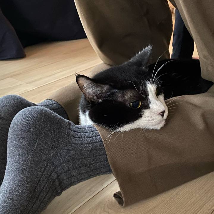 C9cd5760 ec36 4016 ad34 eaaeb9a77fb4 1716716533912