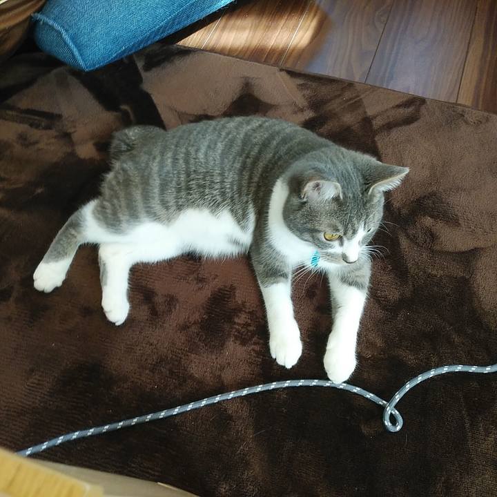 C9cd9543 9d60 4135 8041 f5be1a50c458 1581302361579