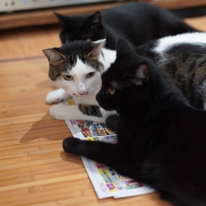 C9cd9b1d e39e 4318 8040 eb4fc3d46be2 1626933977813