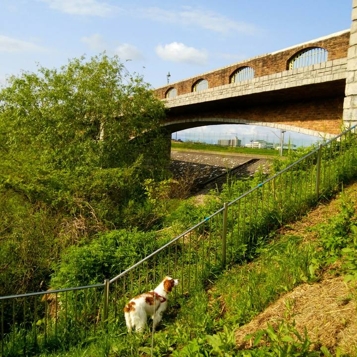 C9cd9fa2 5c99 4fec 888c 11d384a34d1a 1556756918941