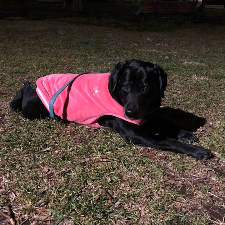 C9cdfd2e dcc4 4d10 82de 584ea96d294d 1549540899031