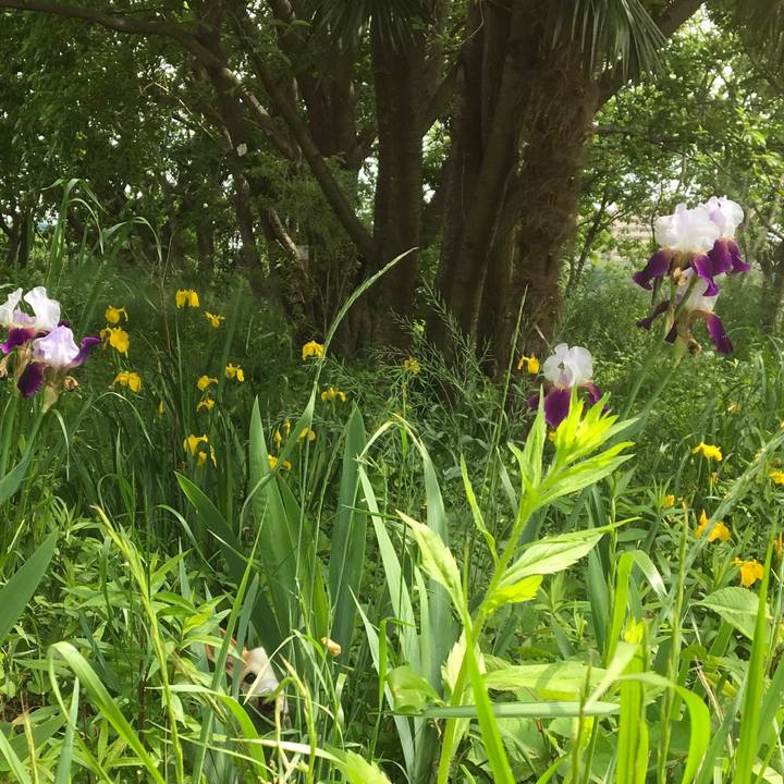 C9ce0542 1078 4645 b112 2ea80a094030 1557721212212