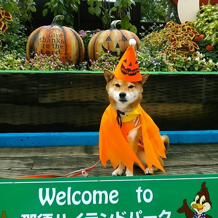 C9ce4b24 0a75 46e2 b1bb b16332c757d3 1570337706686