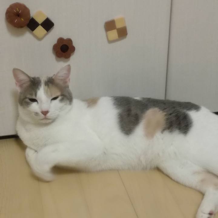 C9ce68d6 97e7 40e3 ba31 7d66bd306c10 1516243960234