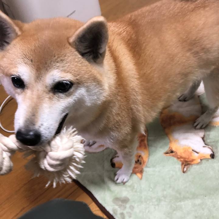 C9cee0b3 0485 4498 a3f7 6c045f034e63 1574250897679