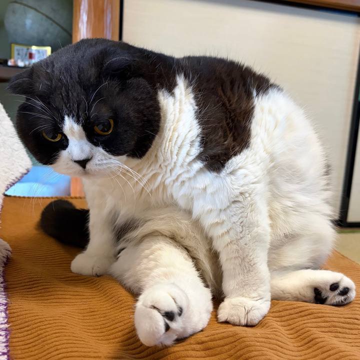 C9cee4b2 ea46 4e2f 9d15 fe68818c2a5f 1769490005749