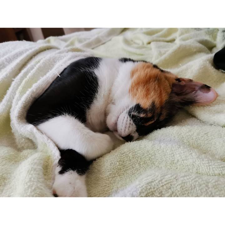 C9cf04f2 c935 4f17 b3d5 a2a82228acd2 1663647100632