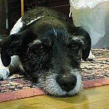 C9cf1b3f 1aab 4086 bb37 a492df18b47a 1523583523691