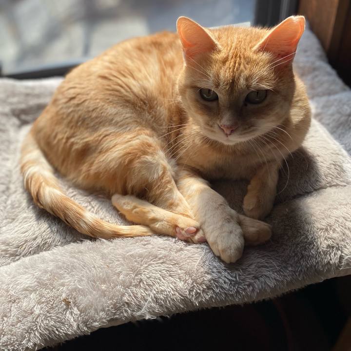 C9cf7e12 344e 4086 b5da 7267797e7569 1739763278211