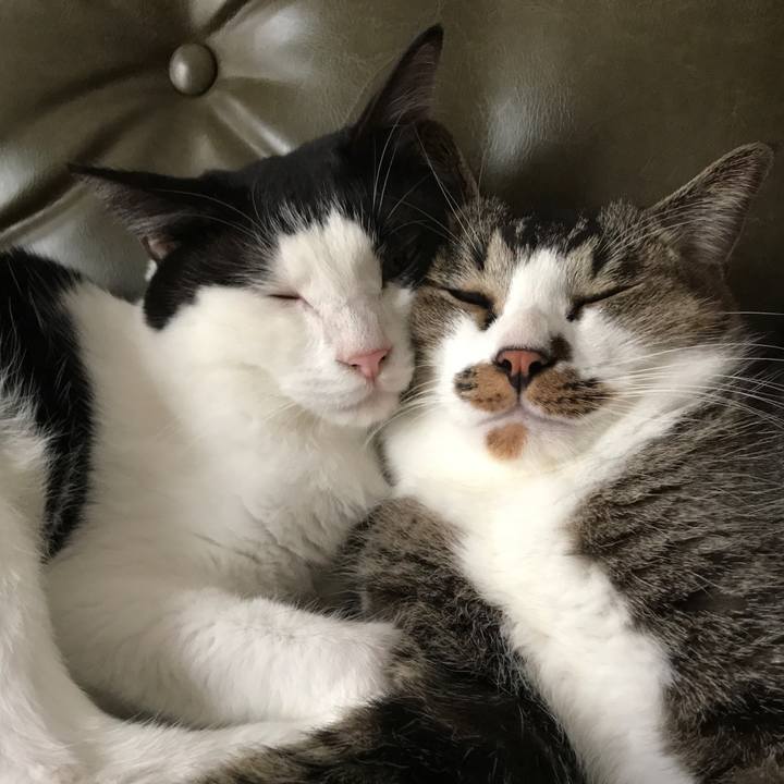 C9cf958e 17fe 4b74 b74a 31be6a4995c6 1543537014198