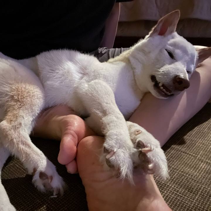 C9cfab13 6060 42e0 ad32 d95fe0733110 1659967614857