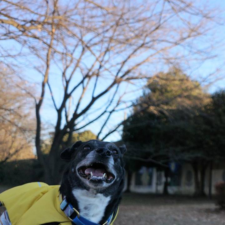 C9cfadd1 8795 4a1e bbf8 ed41f62590ea 1768349852845