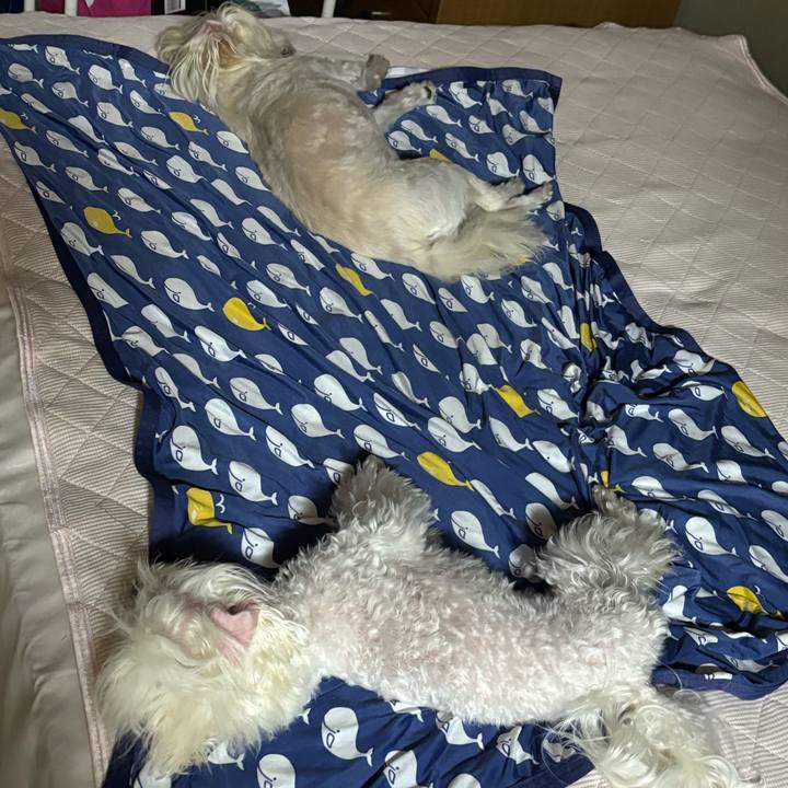 C9cfc925 ae80 496b 86ef 184a0cf4eafc 1754655721206