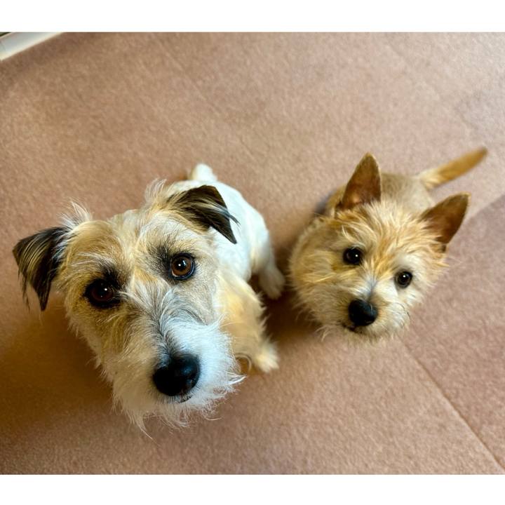 C9cfd80a ee39 46d6 9594 437ff79415e4 1707226602273