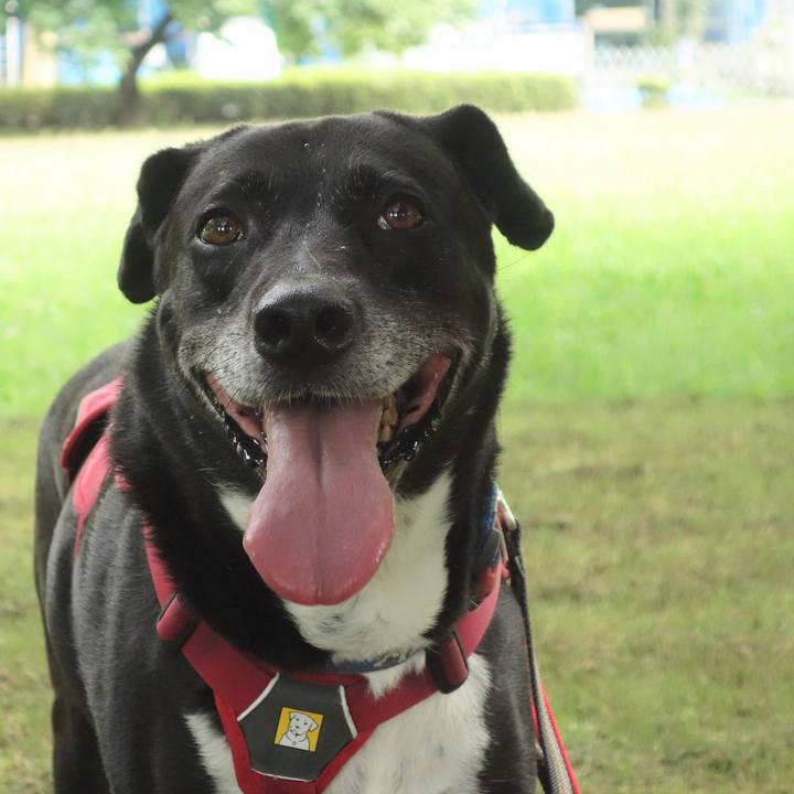 C9cfd90b c593 4ea7 a5eb 5cfb328f2a71 1688084610010