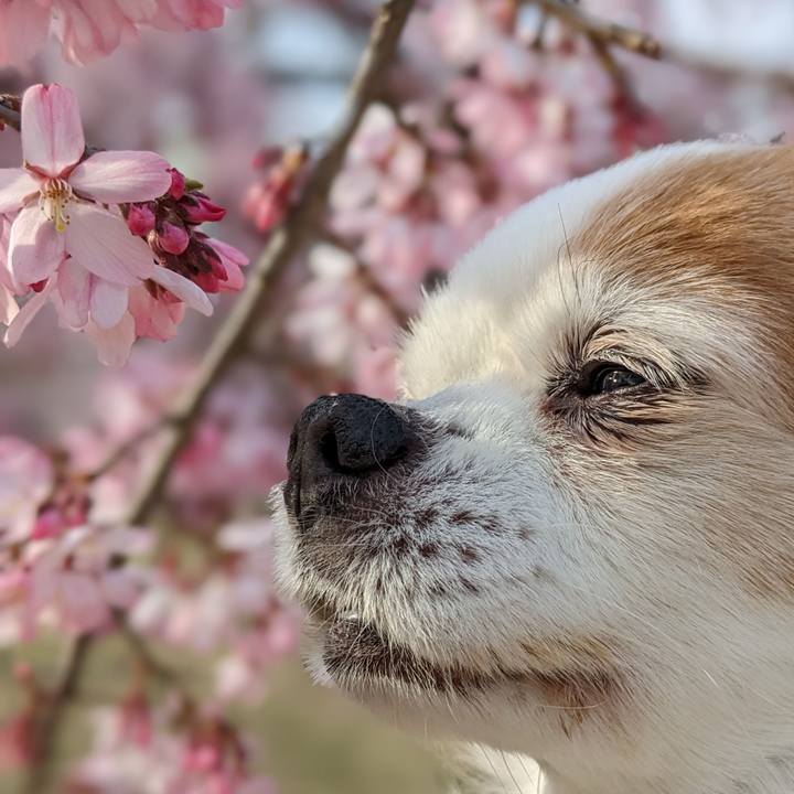 C9cff04e 151d 48dd b155 51d7b936f28b 1678951059418