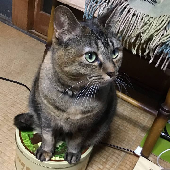 C9d01217 f9c4 4b1d 8a9d 6de6db19aa76 1763019919523