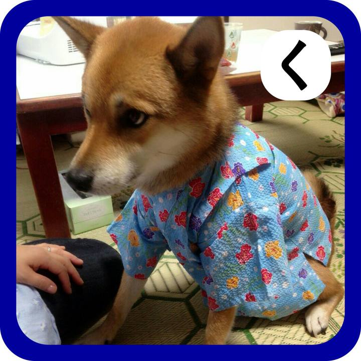 C9d04aa3 6b9a 4cfe a6b7 4b957bd819af 1515158175691