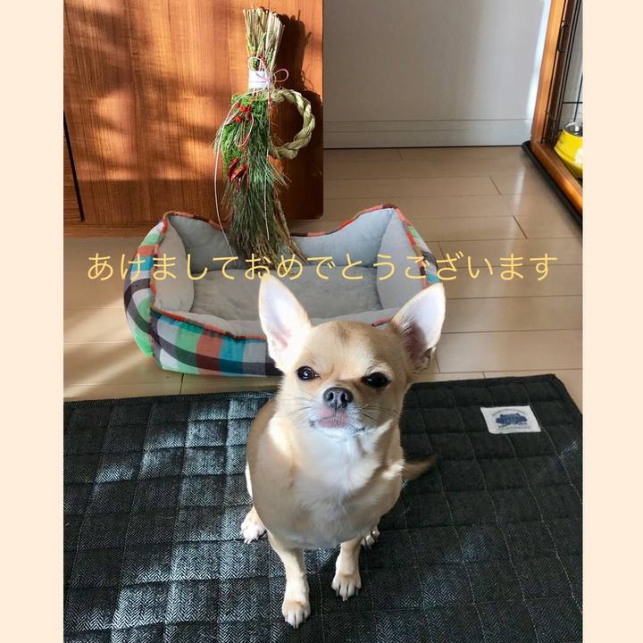 C9d06140 6a25 4c17 87a2 0d69e9adc3cc 1546331403718