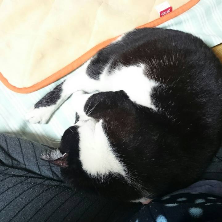 C9d095d9 7fea 41d1 b989 31035b055727 1508145848792