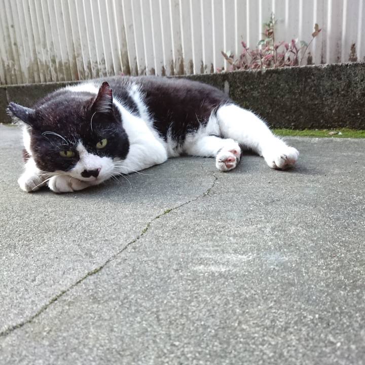 C9d0a6ca 2aca 4fe4 83ab 0e5b5e0d533a 1627203838203