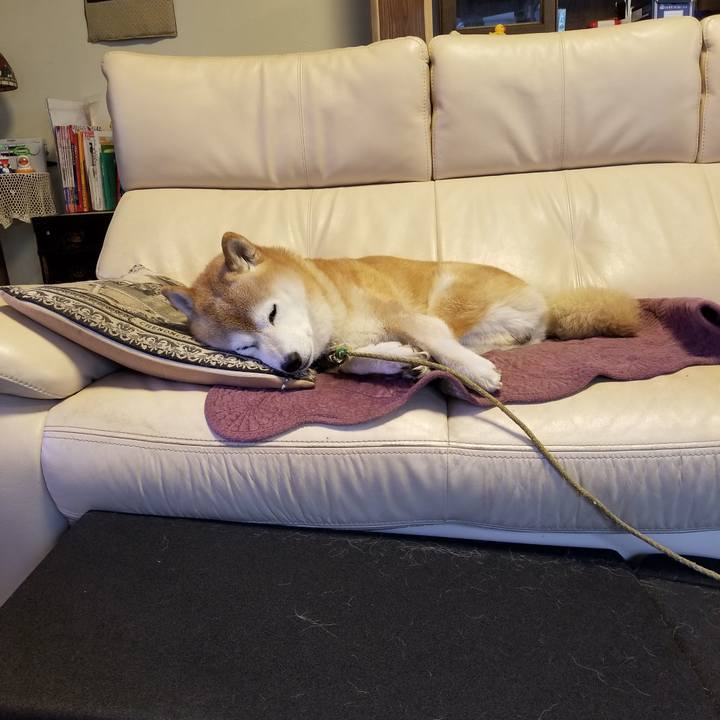 C9d0b4de 5755 4422 8eee 8c423be51a33 1696377834227