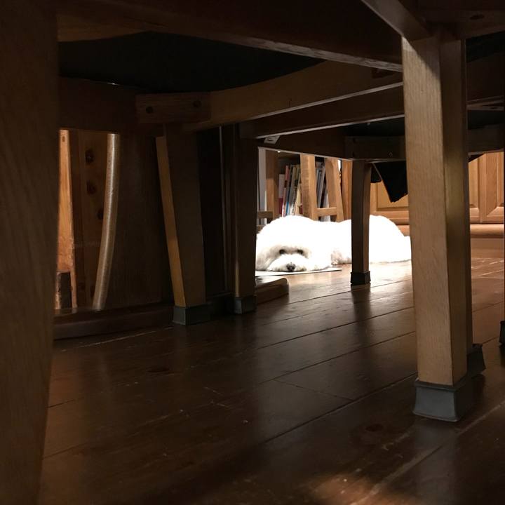 C9d0b823 59a1 45be 9a67 d683909ae146 1530835730299