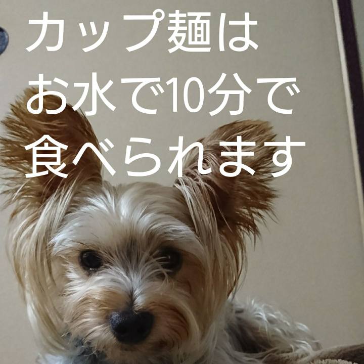 C9d0c3e4 e346 4fce b32f 82c20d56ceea 1536277539750