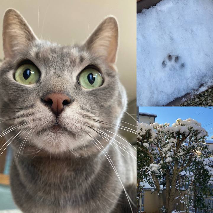 C9d0e0d3 7cb9 4274 9b11 b963aeccb8d2 1641511946272