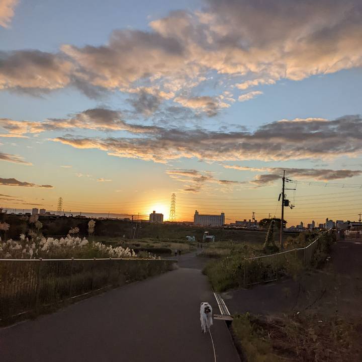 C9d0e6c2 6aa7 4dd6 ba5f 9280a883dd91 1636275129575