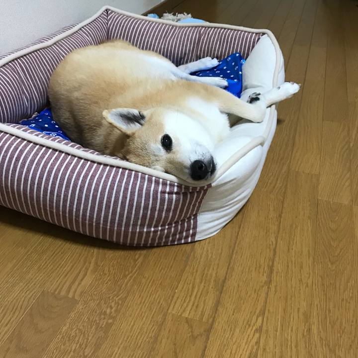 C9d0f280 c7fc 4c84 8042 d419ecf72647 1533038038285