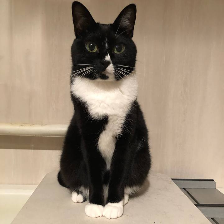 C9d1229f e898 48f8 b6fc 0ef97c7d11db 1571457904701