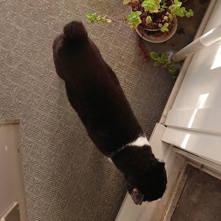 C9d1308d 9b18 4f2d 9919 46429553b3ba 1657265490999