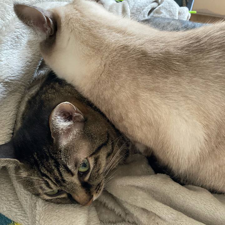 C9d1a526 81bf 443d 8c33 c472c8ee433f 1667795657139