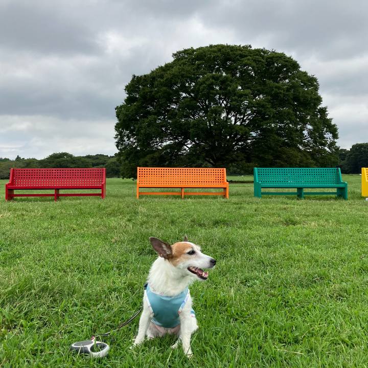 C9d1af73 5876 4e59 b671 c81fea4d56bf 1662251912143