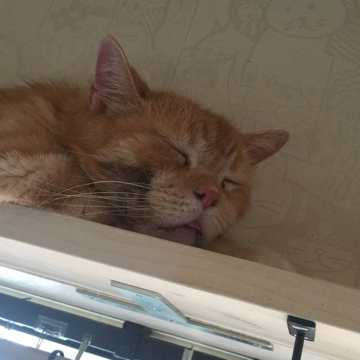 C9d1d6a8 b455 4ae1 9021 f42d52ae58b0 1567226354404