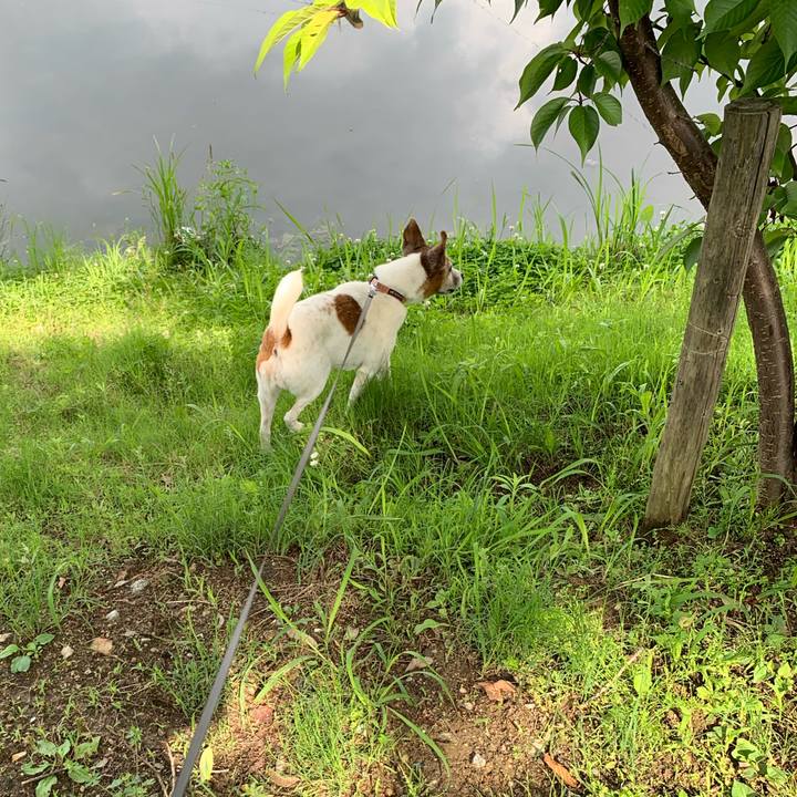 C9d1dbb0 4bc0 4d8c 825b 5aaf51233340 1622248944628