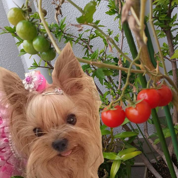 C9d1e4a9 6f65 496e 8ea2 6f1dbb31e8ca 1669424350822