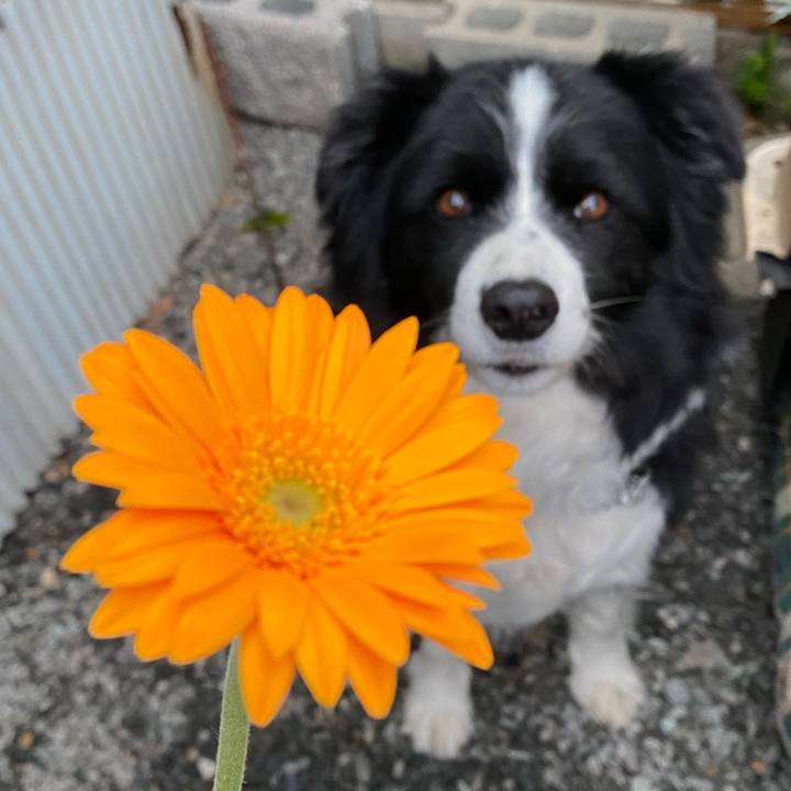 C9d21fe3 e8d7 4614 a192 c45fd7705c16 1617497498760