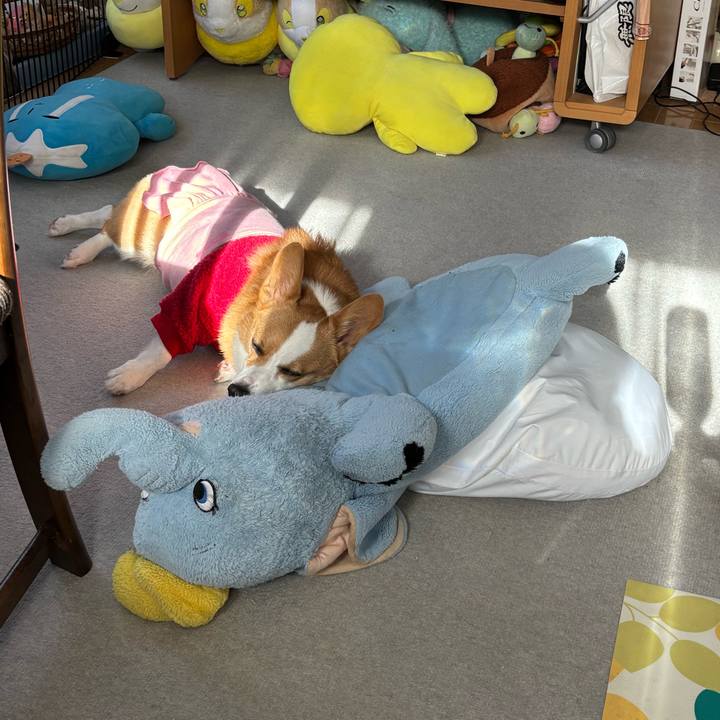 C9d221da 6f30 4efa a6c5 ac64c63bdd9f 1765948724658