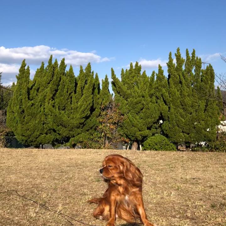 C9d243f4 74ed 4f98 9f23 ed544887e9a1 1584691516588