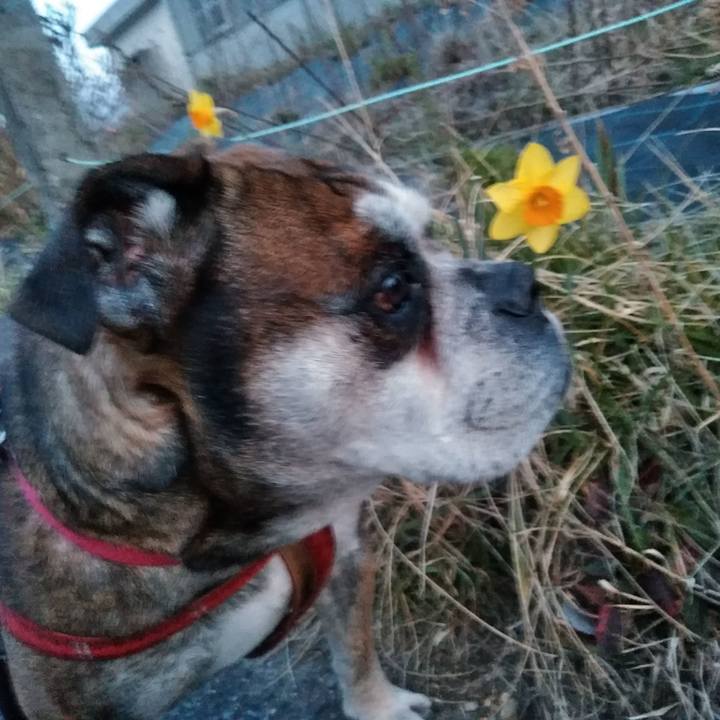 C9d24548 ef2b 4676 a5b4 fd002d613ffd 1553170608687