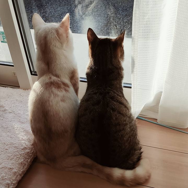 C9d27d2a fd07 4b80 a7b8 5d79e3039125 1643688259071