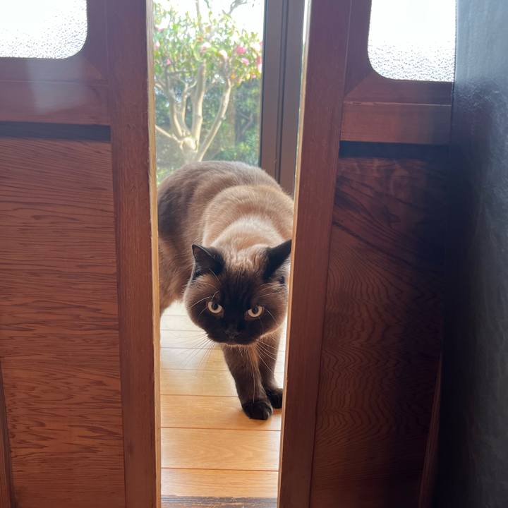 C9d27eae d1ce 4e31 a753 c896061618ec 1679047463305