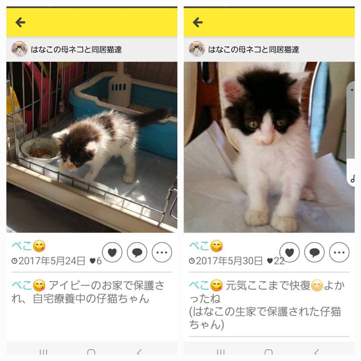 C9d281fb 288a 42ec a0de 859feb7575b2 1737323079617